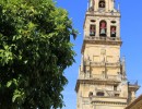 Cordoba Kathedrale   Mezquita  853x1280 