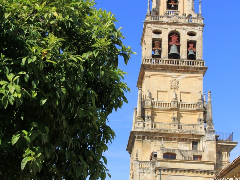 Cordoba Kathedrale   Mezquita  853x1280 