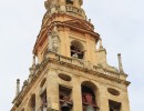 Cordoba   Kathedrale  853x1280 