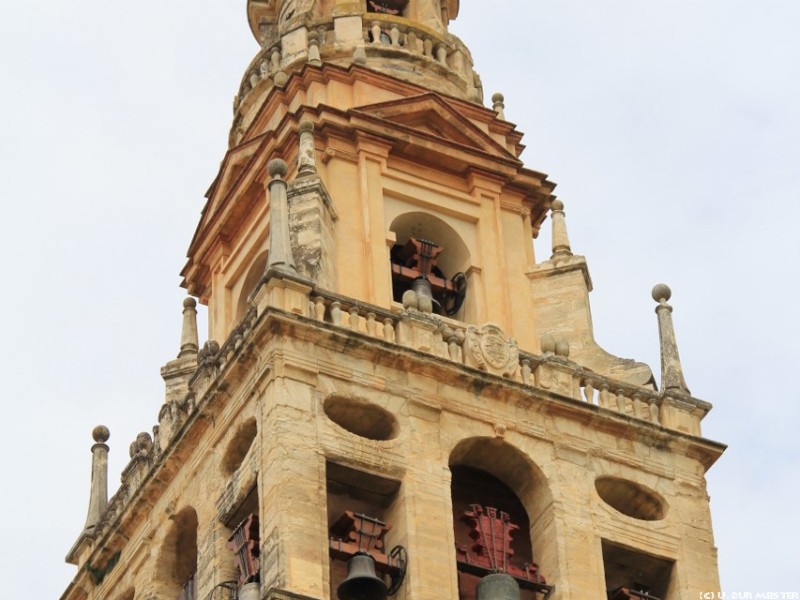 Cordoba   Kathedrale  853x1280 