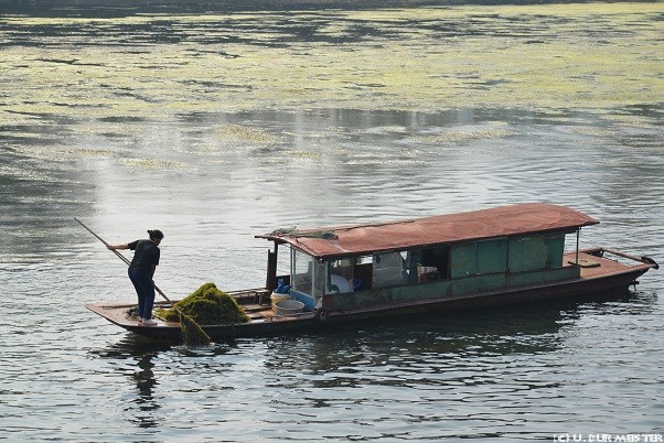 145 Guilin Auf dem Flu   Li