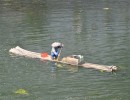 146 Guilin Auf dem Flu   Li
