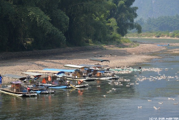 155 Guilin Auf dem Flu   Li