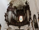 56 Kathedrale von Olivia 2