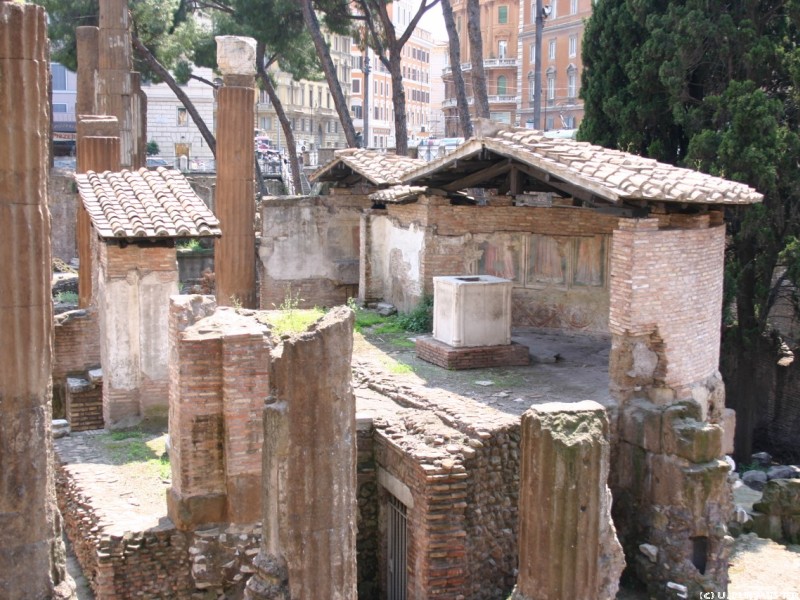 area sacra del largo torre argentina 1  1280x853 