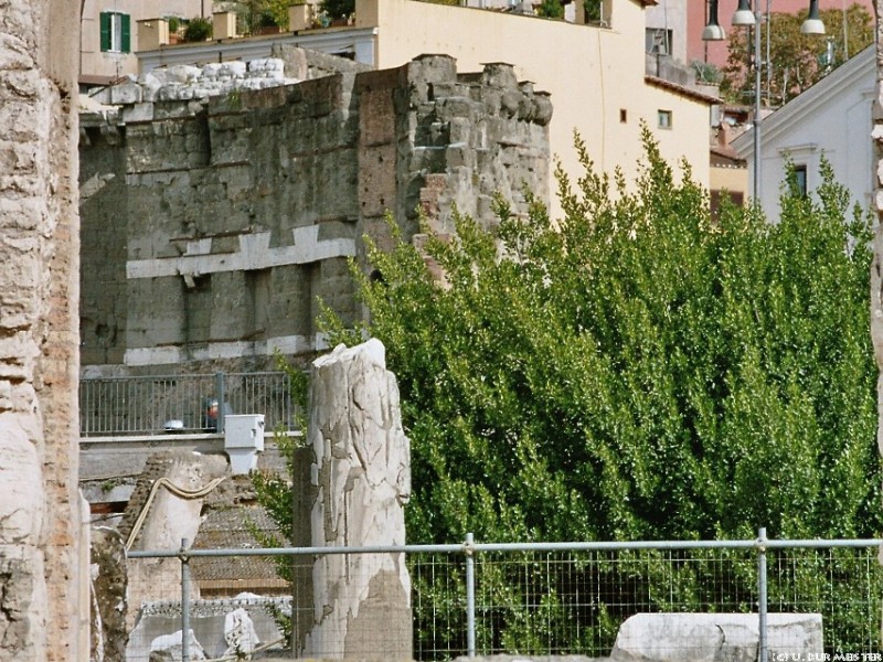 forum romanum 11  853x1280 