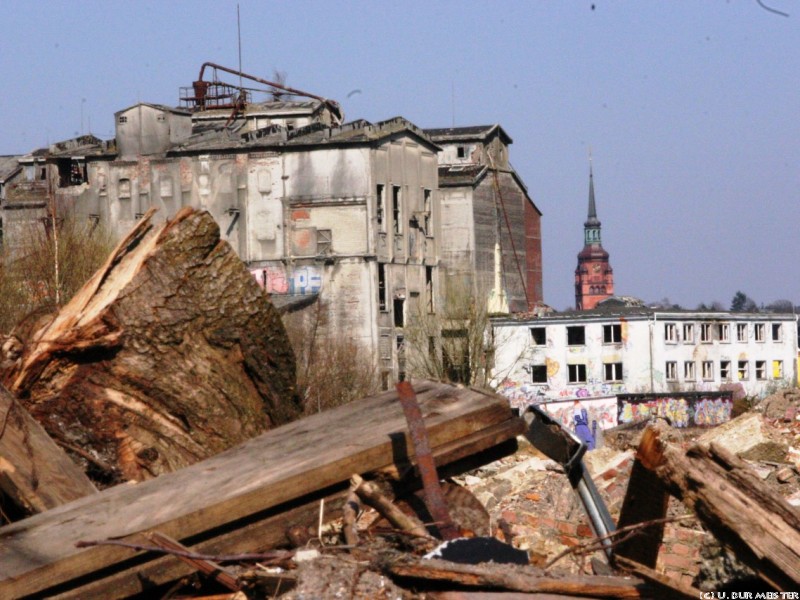 ruine alsen 3  1280x853 