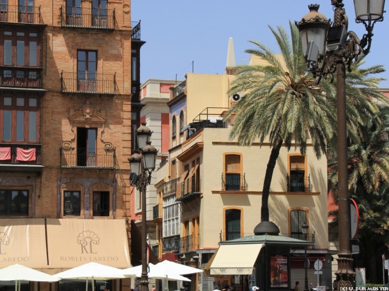 sevilla 2  853x1280 