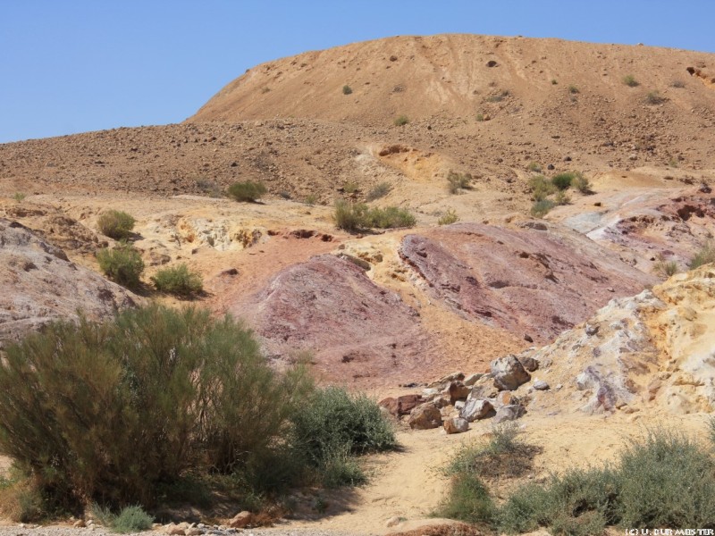 w  ste negev 3