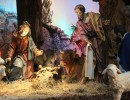 weihnachtskrippe im dom  1280x853 