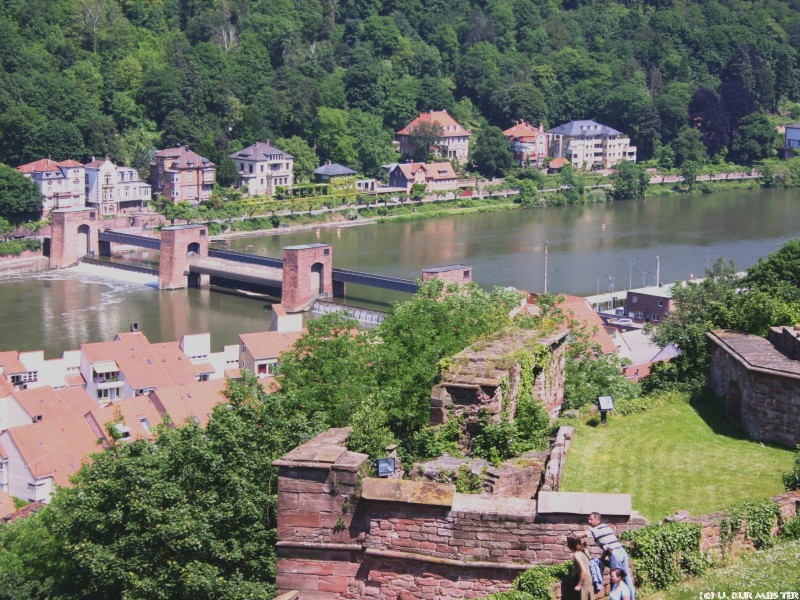 Blick auf den Neckar