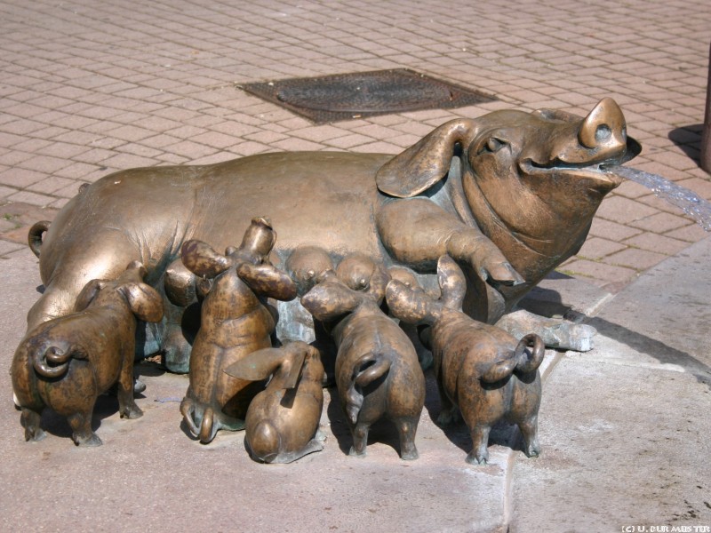 Saubrunnen