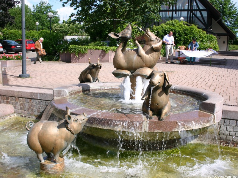 Saubrunnnen in Bornheim