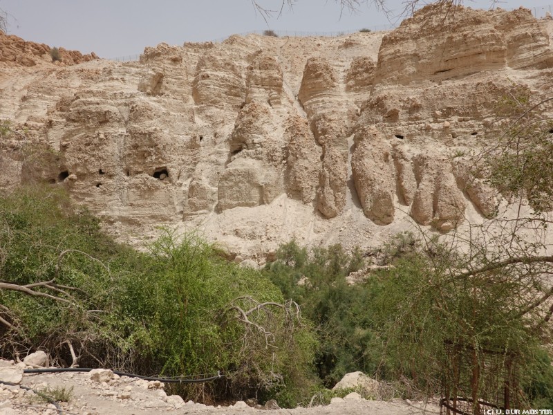 63 Naturpark En Gedi