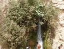 64 Naturpark En Gedi