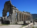 45 Volubilis