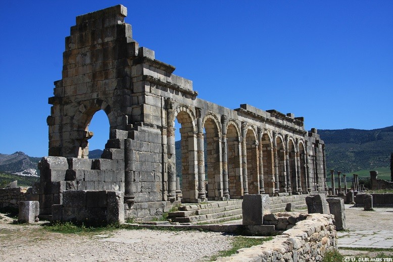 45 Volubilis