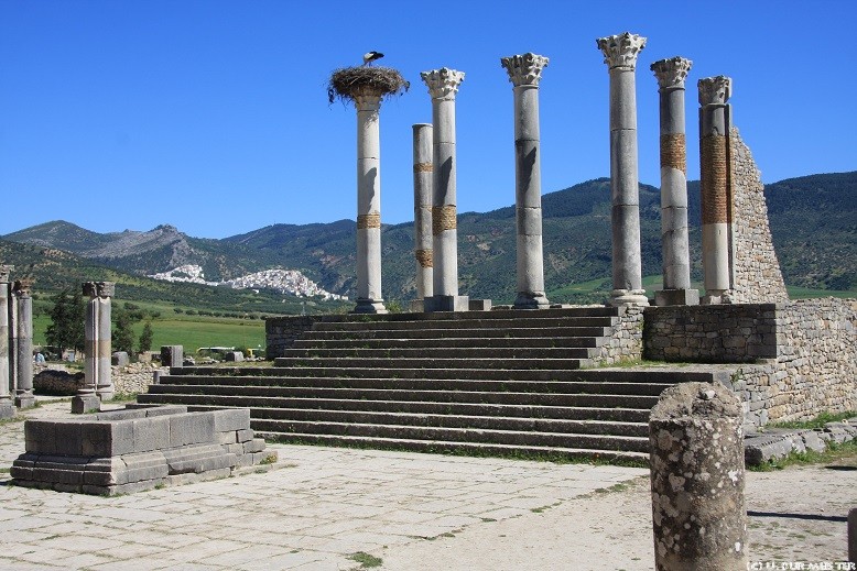 51 Volubilis