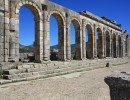 52 Volubilis