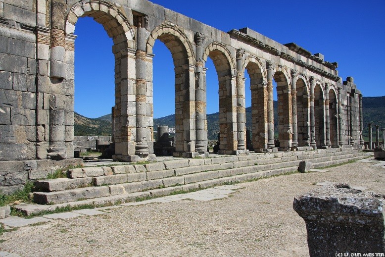 52 Volubilis