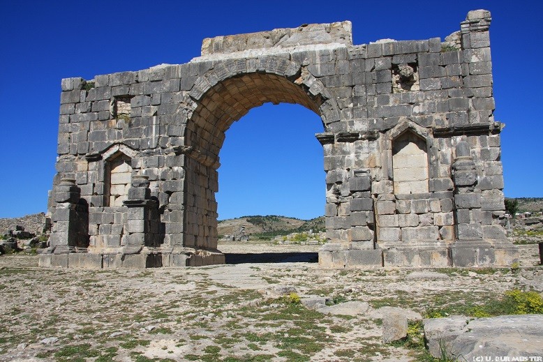 53 Volubilis