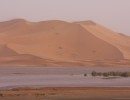 82 Sandd  ne des Erg Chebbi