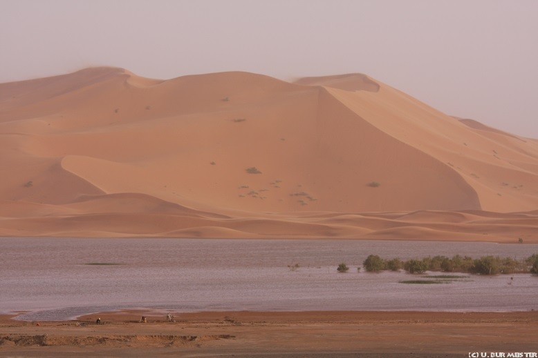 82 Sandd  ne des Erg Chebbi