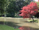 Im Englischen Garten 1  1280x853 