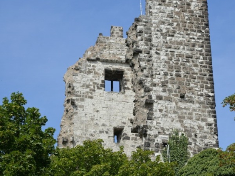 10.1 Drachenfels