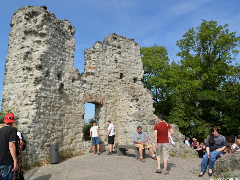 10.2 Drachenfels