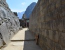 142  Machu Picchu