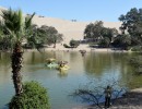 60 Sandd  nen von Huacachina