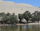61 Sandd  nen von Huacachina