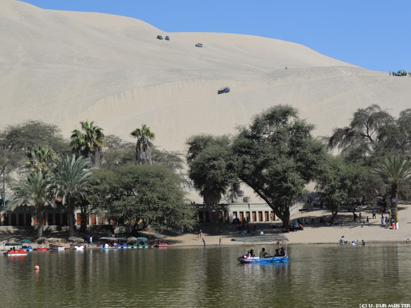 61 Sandd  nen von Huacachina