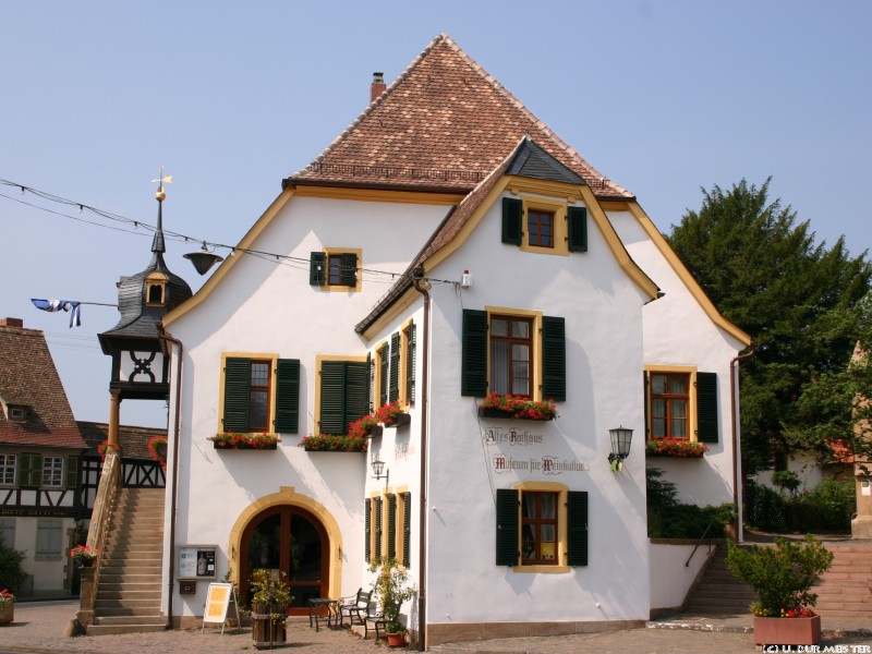 40 Deidesheim