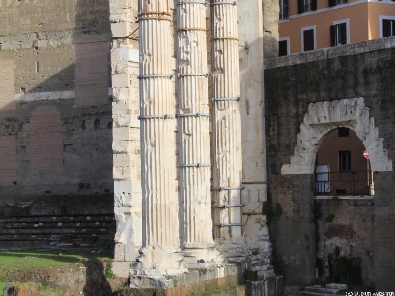 Forum Romanum 3  853x1280 