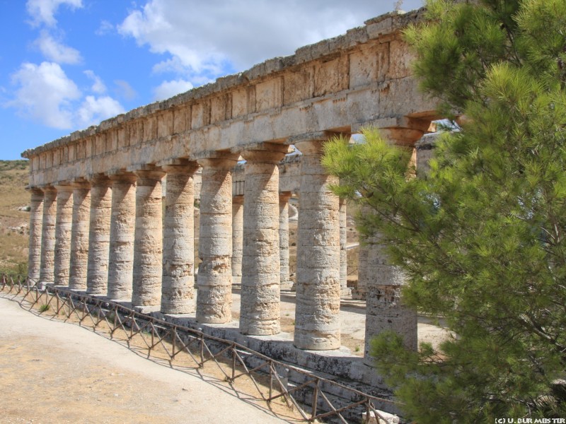 91 Segesta