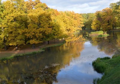 Spreewald 2015